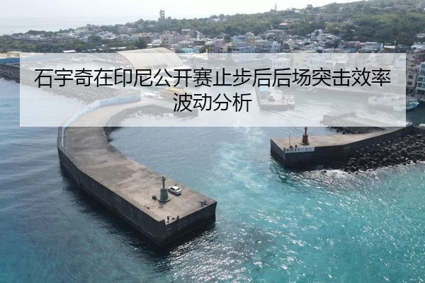 石宇奇在印尼公开赛止步后后场突击效率波动分析