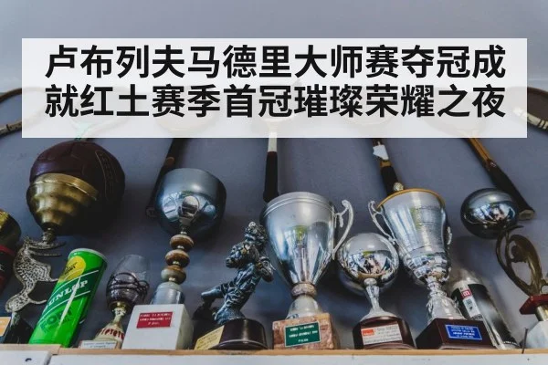卢布列夫马德里大师赛夺冠成就红土赛季首冠璀璨荣耀之夜